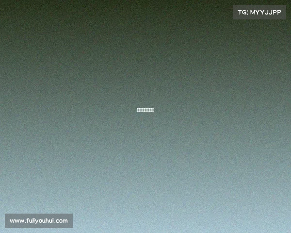 城市赛报名条件